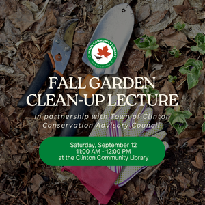 Fall Garden Clean-Up